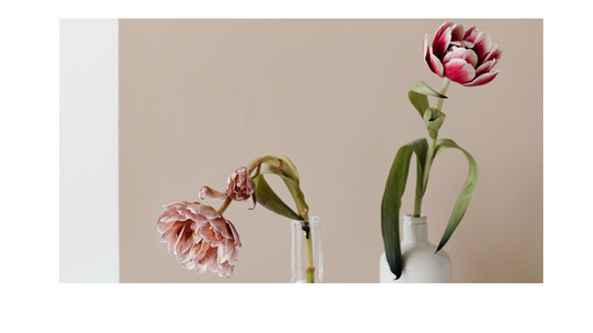 At-Home Experiments to Test ARK Crystal Effects on Plants and Seeds