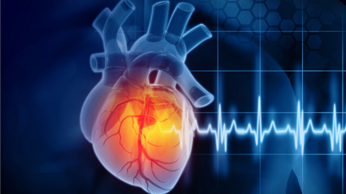 Unlocking Wellness with ARK Crystals: HRV, Cognitive Boost, and Hydration Support
